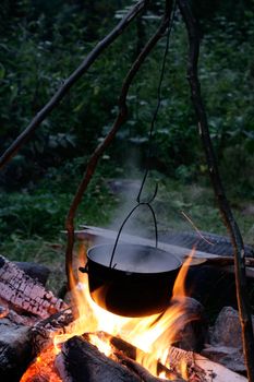 cooking on the campfire in the woods