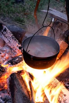 cooking on the campfire in the woods