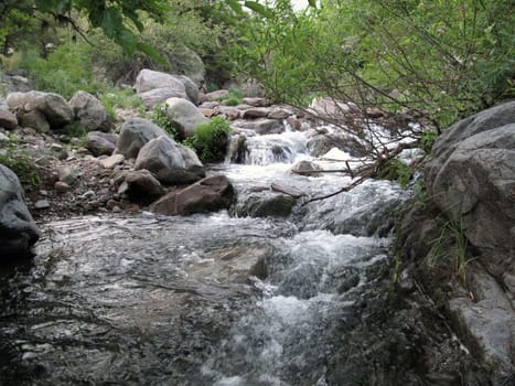                    morning cold mountain river blows freshness
            