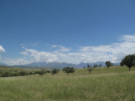 mountain meadow and a few fruit trees and in the distant mountains         