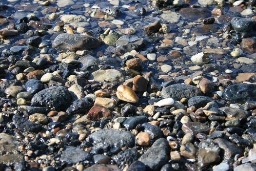 colored rocks on the seashore