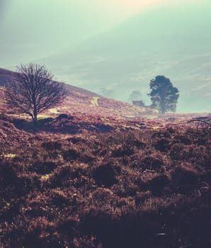 A Hiking Hut (Bothy) In The Morning Mist In The Scottish Wilderness In Winter