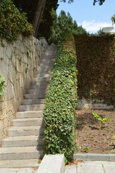 Beautiful stone staircase, steps leading up among the plants and trees in the Park.