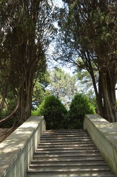 Beautiful stone staircase, steps leading up among the plants and trees in the Park.