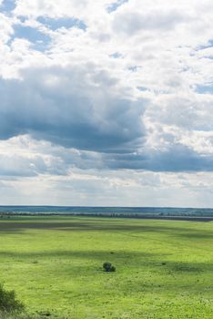 Vertical frame, background of a lone Bush or tree on a green meadow, horizon line and sky with clouds.
