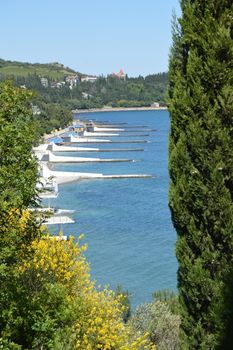 Top Panoramic view of the sea coast with natural breakwaters with cypress frame, hot summer day.