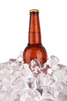 One bottle of beer on ice isolated on white background 