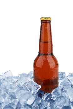 One bottle of beer on ice isolated on white background 