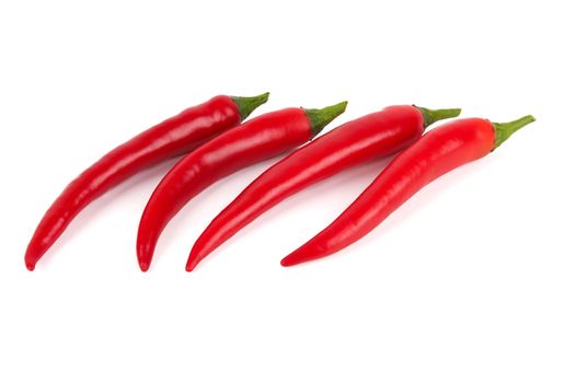 Red chili pepper isolate on white background