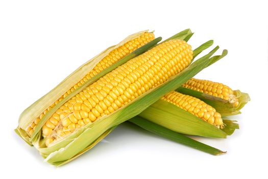 Sweet corn isolated on a white background