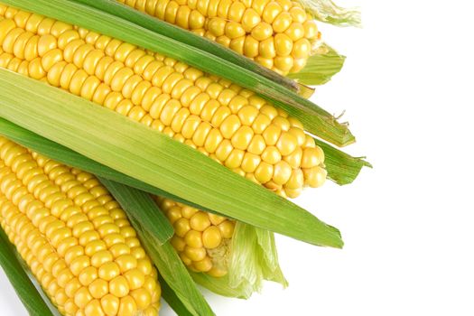 Sweet corn isolated on a white background