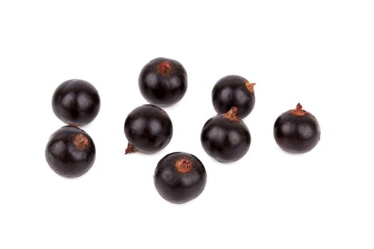 black currant isolated on a white background 
