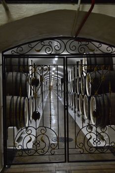 Through the wrought-iron metal gate you can see the wine cellar with old oak barrels lying in a row.