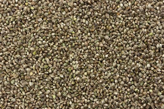 Hemp seeds texture, cannabis seeds background, close up