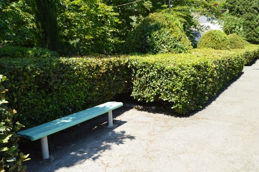 Wooden painted bench along the paths in the summer Park on a Sunny day.