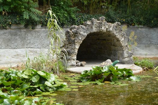 ond overgrown with water lilies with figures of turtles and birds.