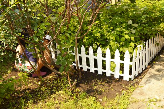 Woman working in the garden, squatting, her silhouette visible through the trees.