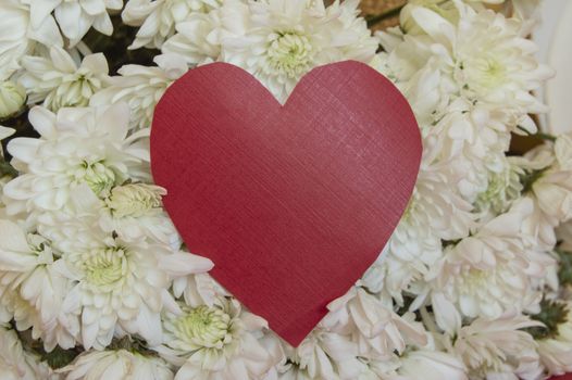 Red hearts with space for text, on a background of white colors. Greeting concept for Valentine's day, mother's Day, women's day, wedding.