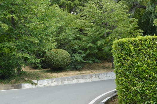 A paved road runs along the stone wall and cypress trees.