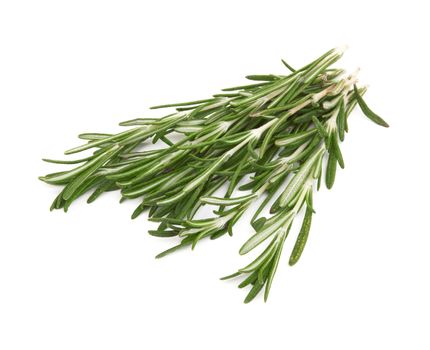 Fresh rosemary isolated on white background