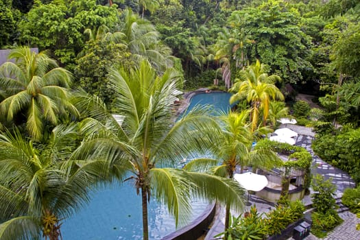 Amazing top view on swimming pool at tropical luxury hotel near ocean