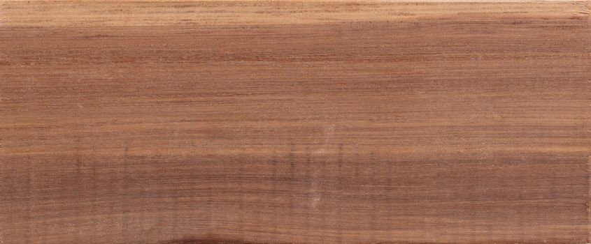 Wood background - Wood from the tropical rainforest - Suriname - Eschweilera longipes