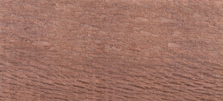 Wood background - Wood from the tropical rainforest - Suriname - Poraqueiba guianensis