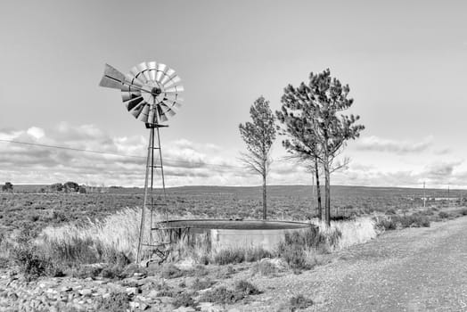 Monochrome landscape on road R63 between Victoria West and Loxton in the Northern Cape Province. A water-pumping windmill, trees and a dam are visible
