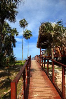 Wooden walkway leading to the beach. Cuba, Varadero Beach