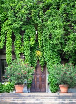 Integration of nature and real estate on this old Italian building