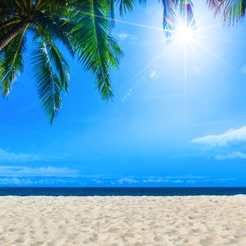 Palm on tropical beach sea and blue sky with sun on background , copy space for text