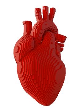 3d printed heart isolated on white background. Concept 3d printing of internal organs. 3D illsutration