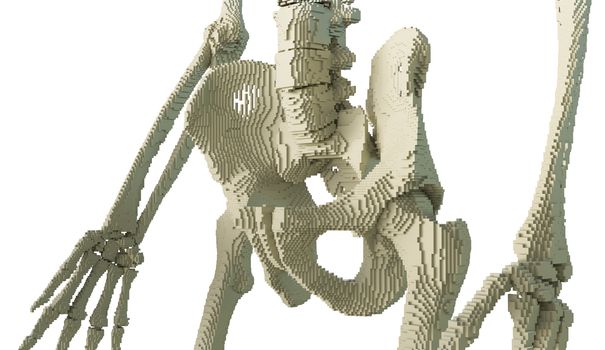 3d printed skeleton isolated on white background. 3D illustration