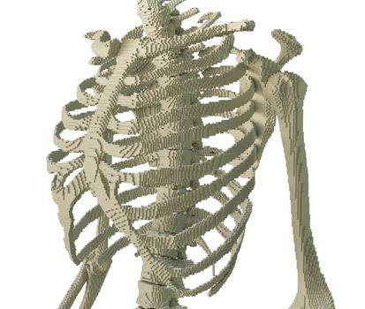 3d printed skeleton isolated on white background. 3D illustration