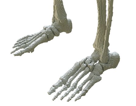 3d printed skeleton isolated on white background. 3D illustration