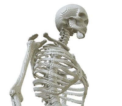 3d printed skeleton isolated on white background. 3D illustration