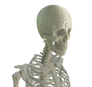 3d printed skeleton isolated on white background. 3D illustration