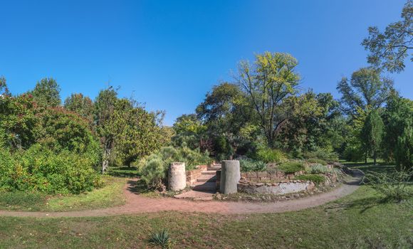 Old abandoned flowerbed in a botanical garden in Odessa, Ukraine on a sunny autumn day