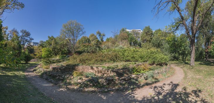 Old abandoned flowerbed in a botanical garden in Odessa, Ukraine on a sunny autumn day