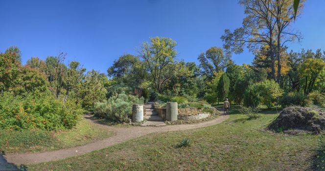 Old abandoned flowerbed in a botanical garden in Odessa, Ukraine on a sunny autumn day