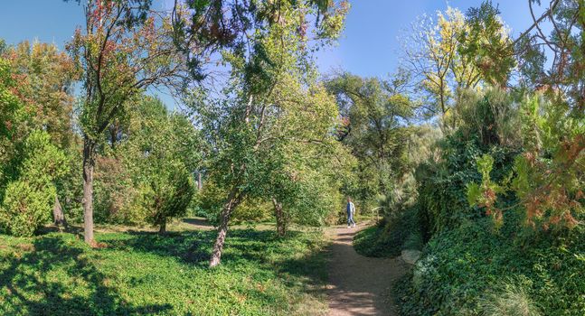 Trees in the Old Botanical Garden in Odessa, Ukraine, on a sunny autumn day