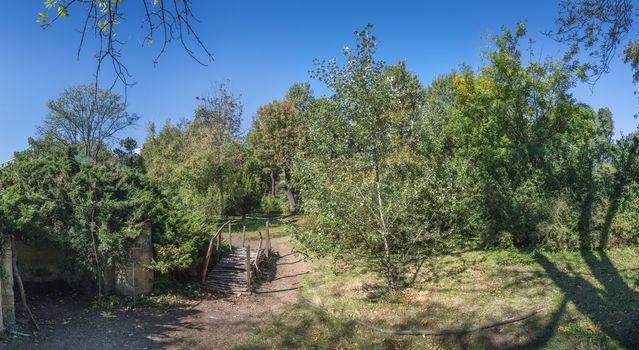 Trees in the Old Botanical Garden in Odessa, Ukraine, on a sunny autumn day