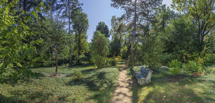 Empty bench in the shade of trees in the old botanical garden in Odessa, Ukraine