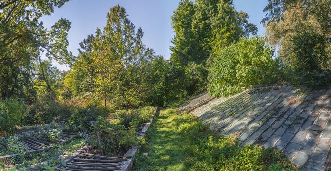 Cozy deserted corner of the old botanical garden in Odessa, Ukraine, on a sunny autumn day