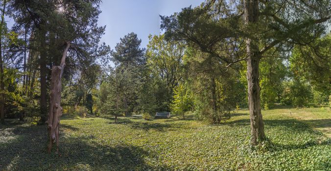 Trees in the Old Botanical Garden in Odessa, Ukraine, on a sunny autumn day