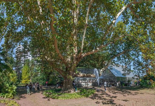 Odessa, Ukraine - 11-10-2018. Green Corner of the old botanical garden in Odessa, Ukraine, on a sunny autumn day