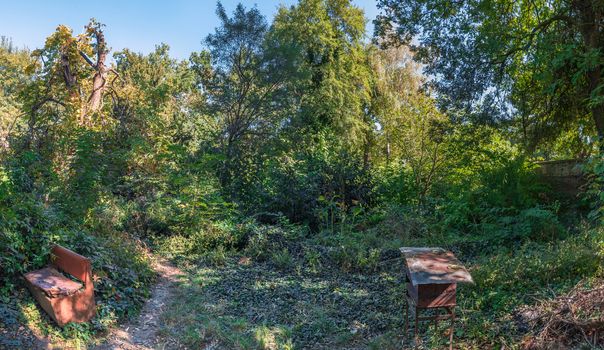 Cozy deserted corner of the old botanical garden in Odessa, Ukraine, on a sunny autumn day