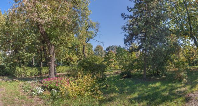 Trees in the Old Botanical Garden in Odessa, Ukraine, on a sunny autumn day