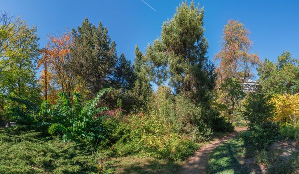 Trees in the Old Botanical Garden in Odessa, Ukraine, on a sunny autumn day