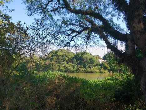 June 27, 2018, view of the forests of the Paraíba do Sul Riverbank, São Paulo, Brazil, in a quiet day.